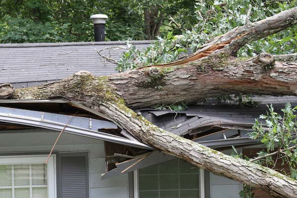Learn More About Roofing Insurance Claims